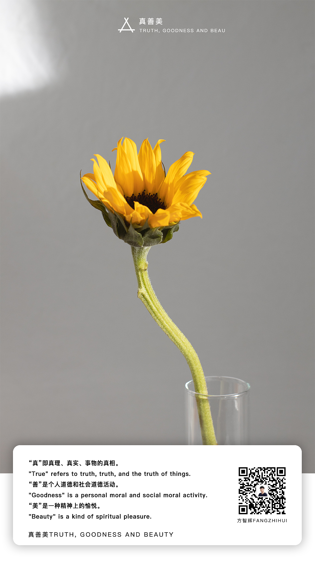 真善美真善美（方智辉fangzhihui）
