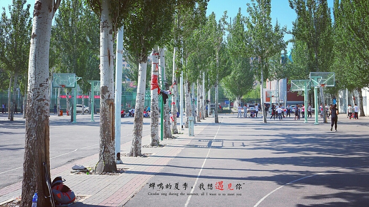 《中北大学》摄影作品（图ZODU5MDA4NjA=） - 人文/纪实摄影 - 站酷设计师秦小多原创素材 - 站酷ZCOOL