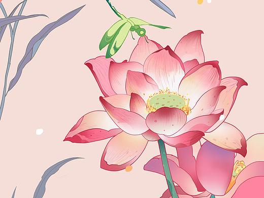 荷花团扇
