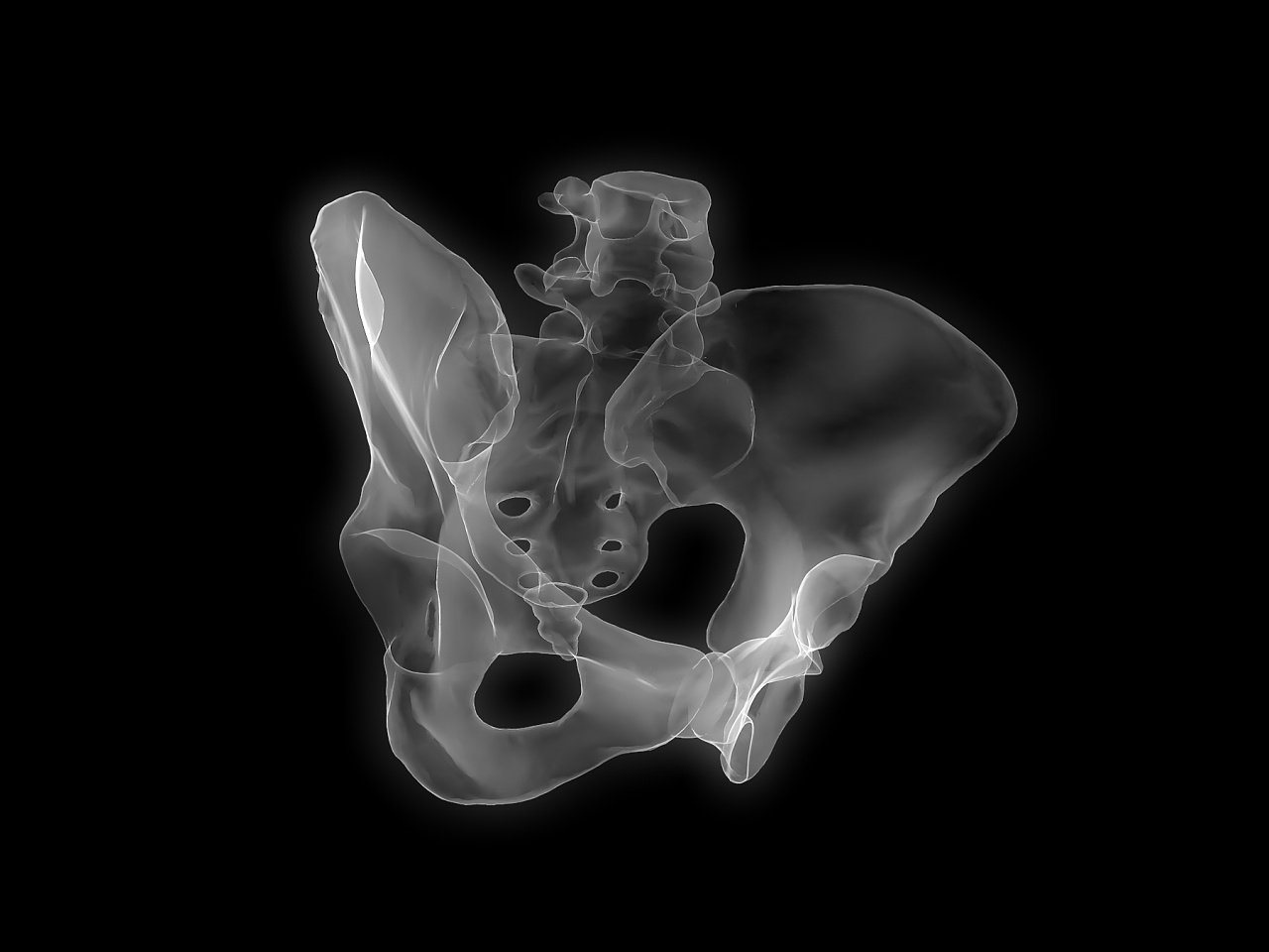 医学x光 xray 射线 ct扫描 影像 机场安检 3d三维全息