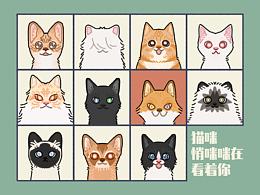 喵说