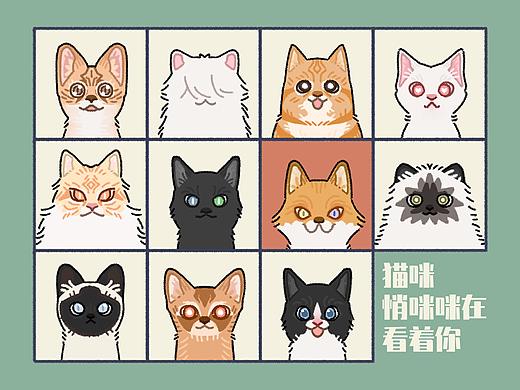 动物猜猜乐《动物插画》