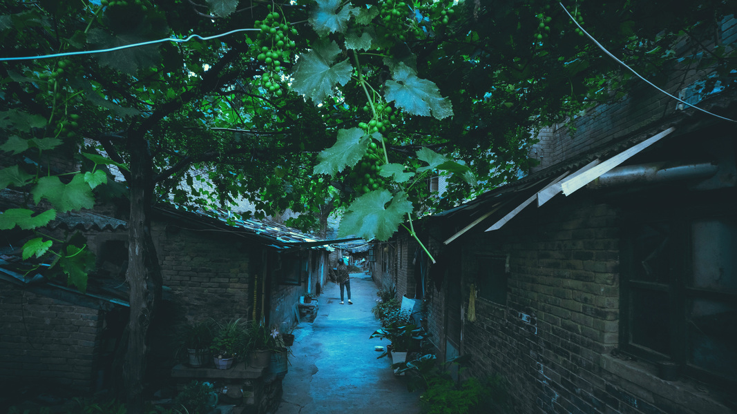 致青春回忆708090