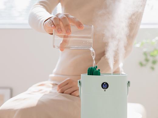 仙人掌 加湿器