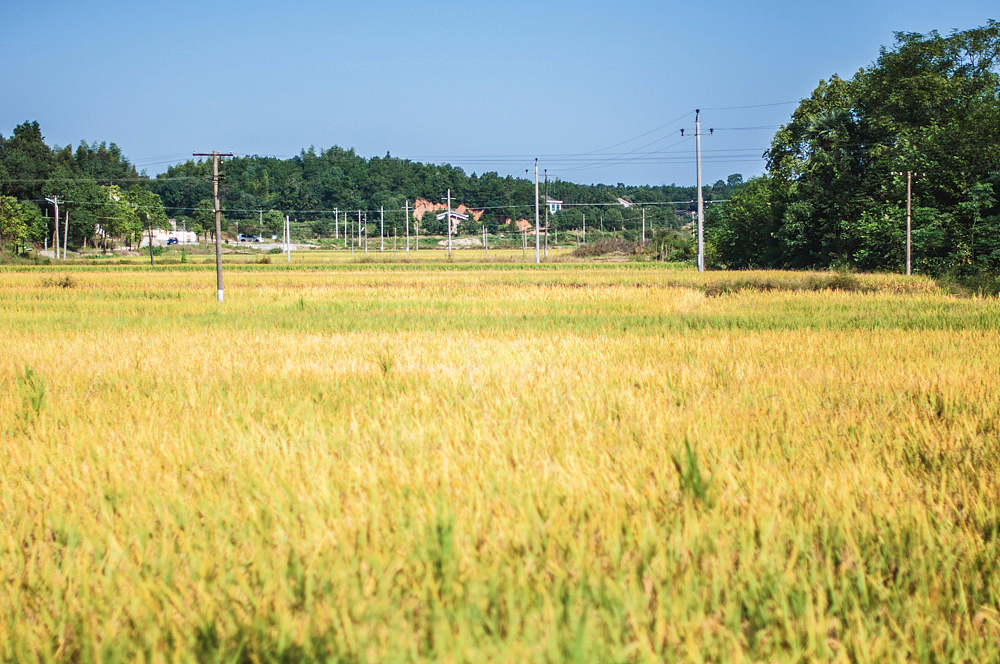 2015.09.30-10.06 故湘纪