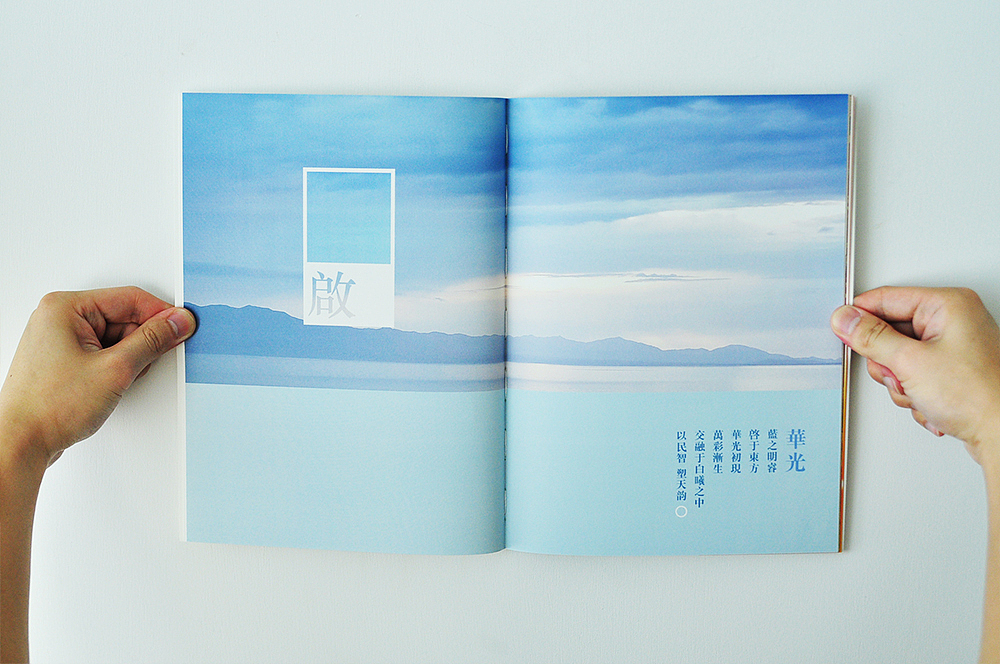 天下卫视宣传册子