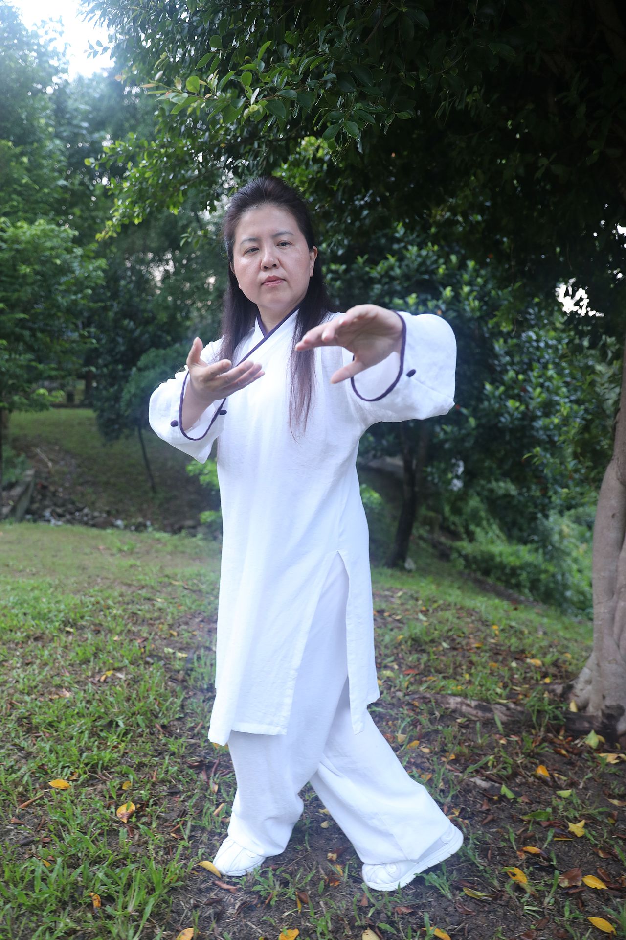 武当道致·理淳