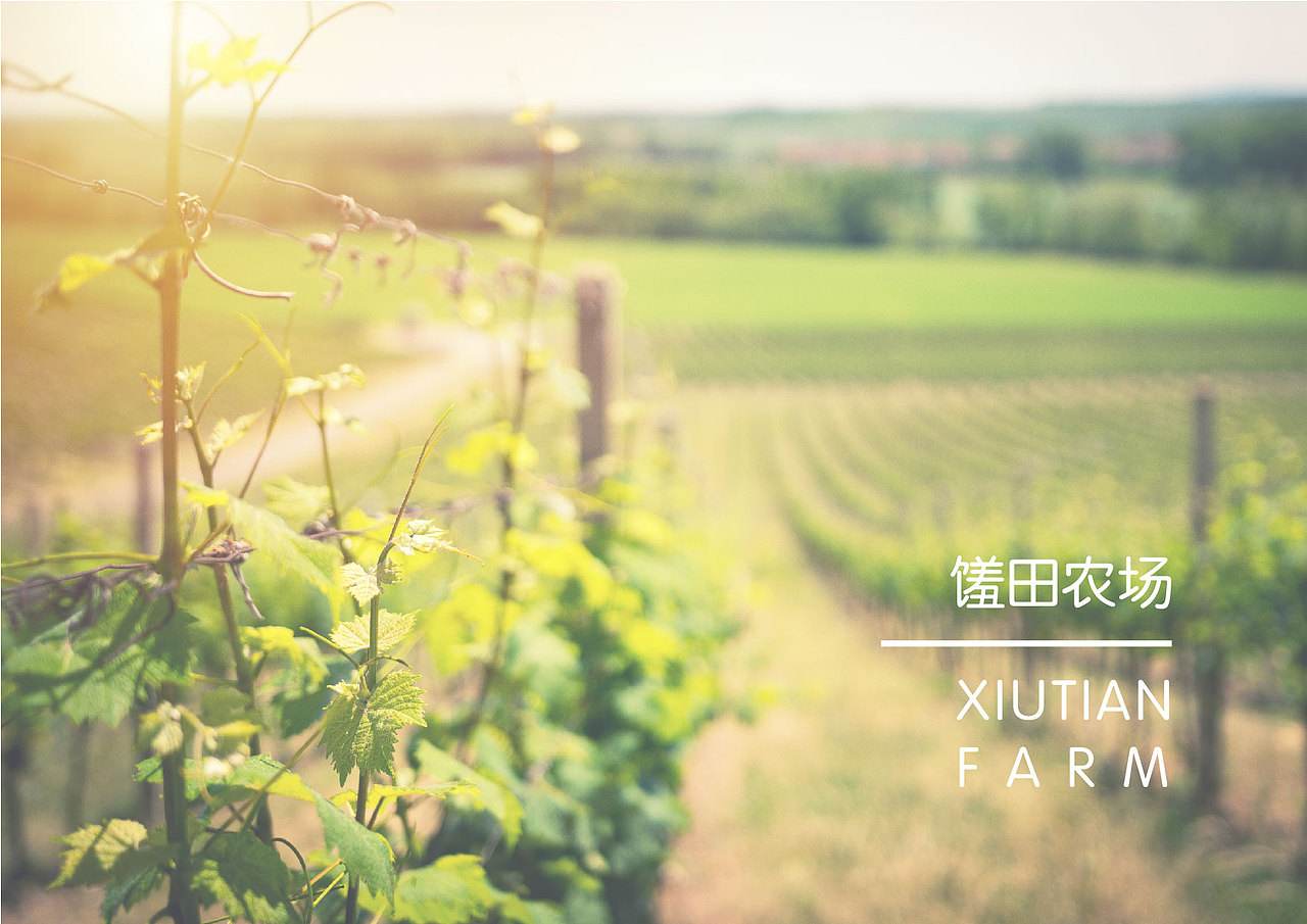 馐田农场品牌形象设计（图ZMTY4NjA2NTk2） - 品牌 - 站酷设计师Gaoool原创素材 - 站酷ZCOOL