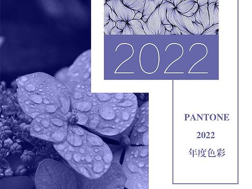 长春花2022年度颜色 ----重新总结
