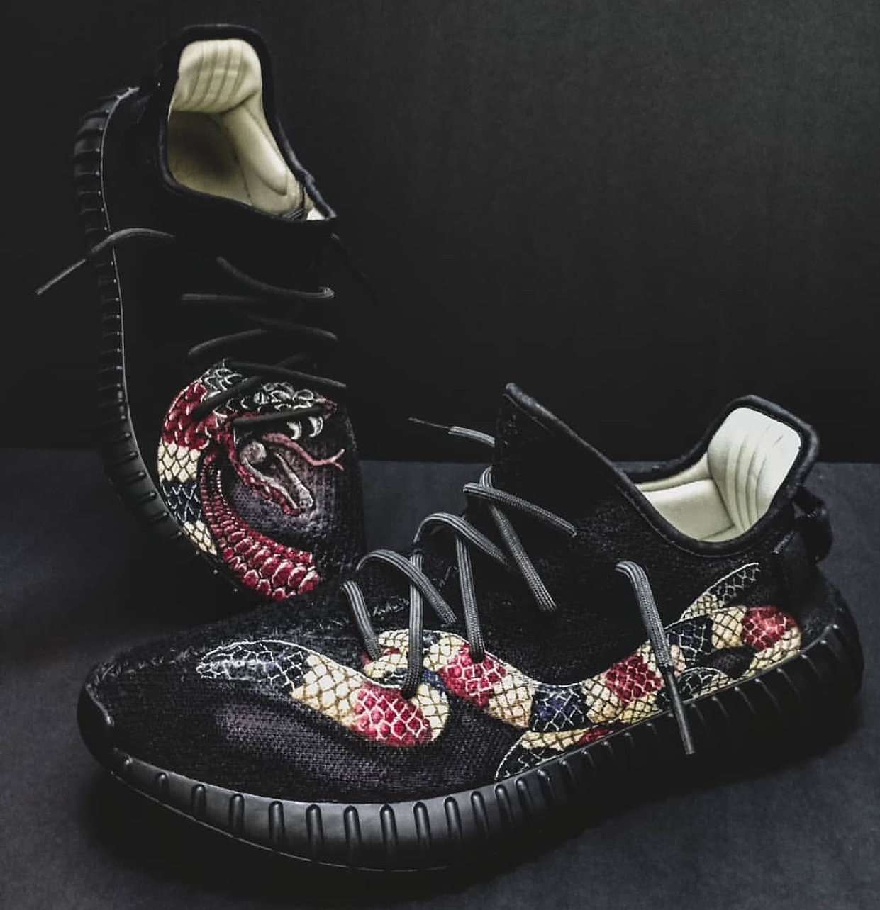 椰子毒蛇黑曼巴