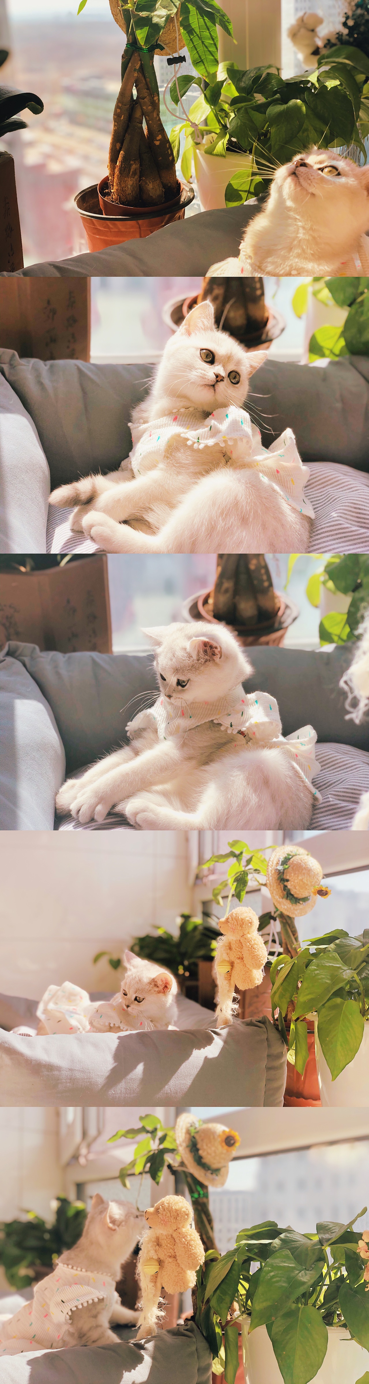 一起晒太阳吗 我请客