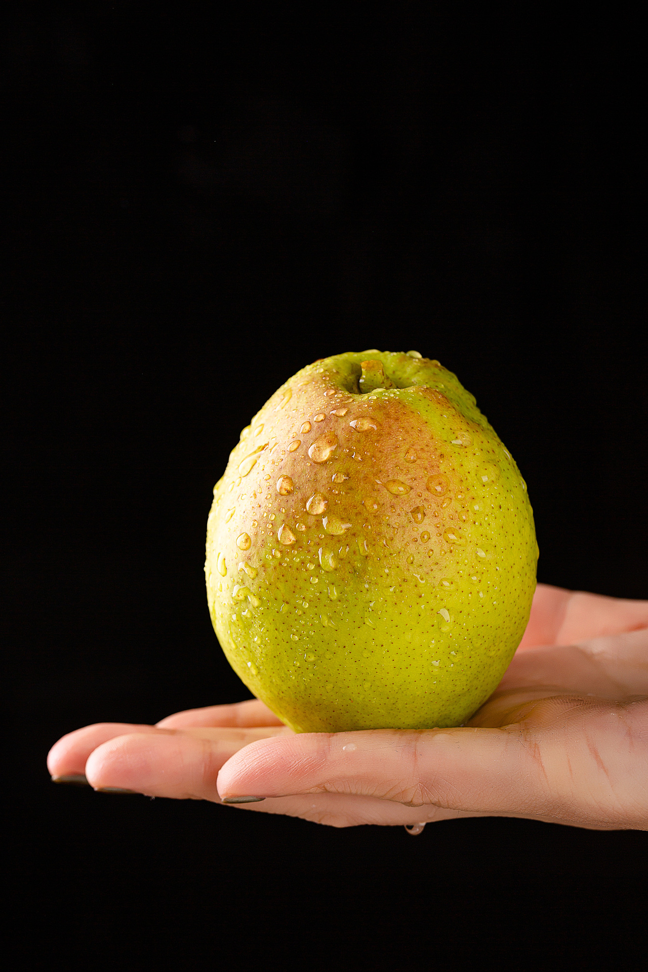 库尔勒香梨纯底拍摄