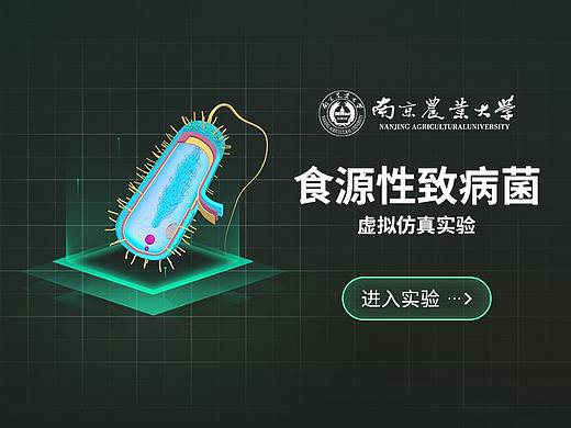 致病菌仿真实验