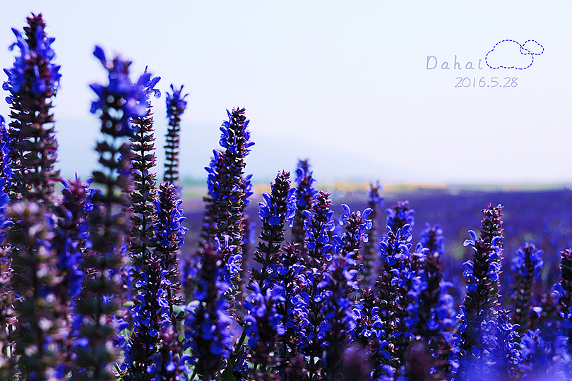 听说有一种很纯粹的蓝