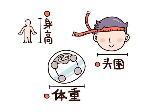 科普知识类的插图们