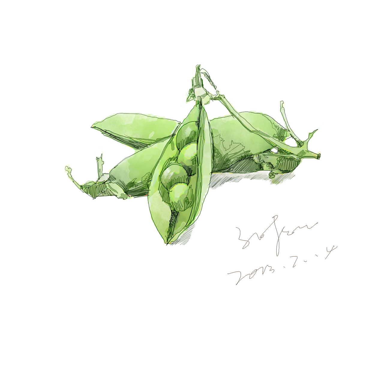 大豆,手绘风格,随笔插画.
