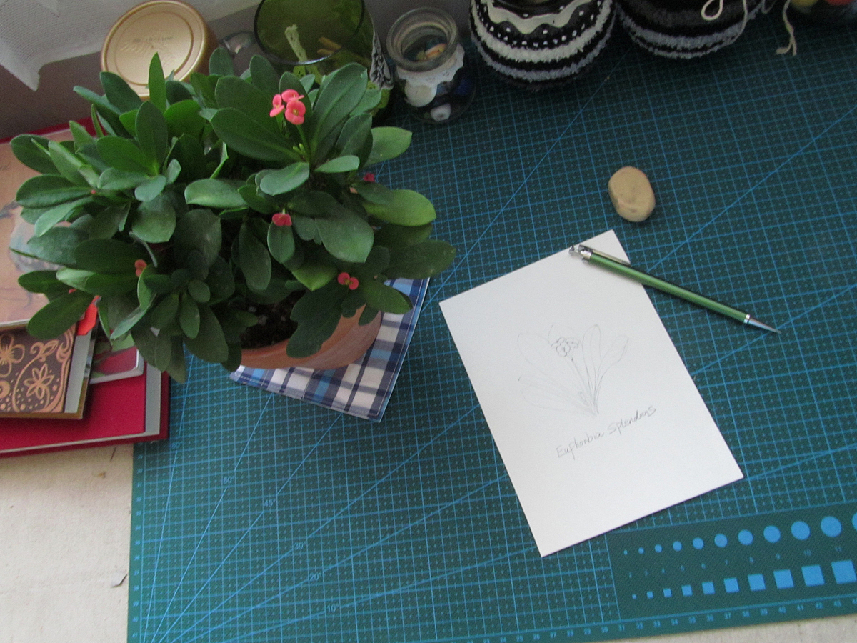 梦想de修行 系列之初起（图ZODA1OTYxNg==） - 绘画 - 站酷设计师自由的猞猁原创素材 - 站酷ZCOOL