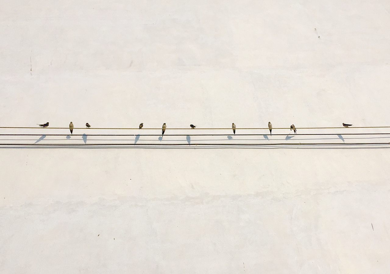 五线谱上的音符🎵（图ZMTk2NDg1NDc2） - 人文/纪实摄影 - 站酷设计师年糕ddd原创素材 - 站酷ZCOOL