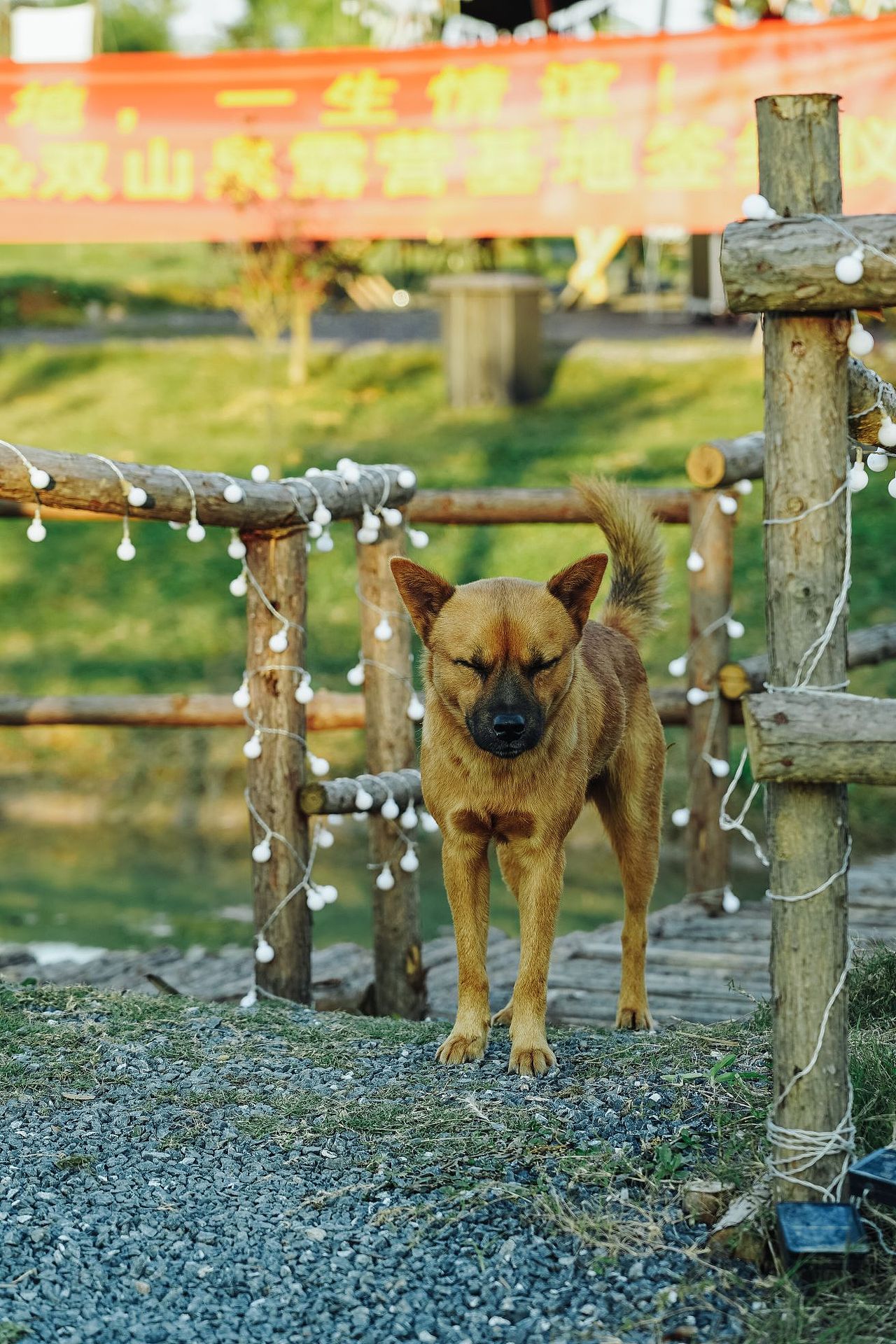 去双山泉走走…