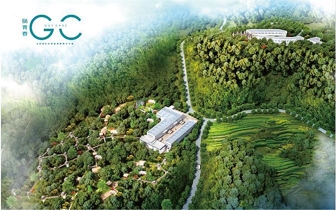 中康长和肠青春计划