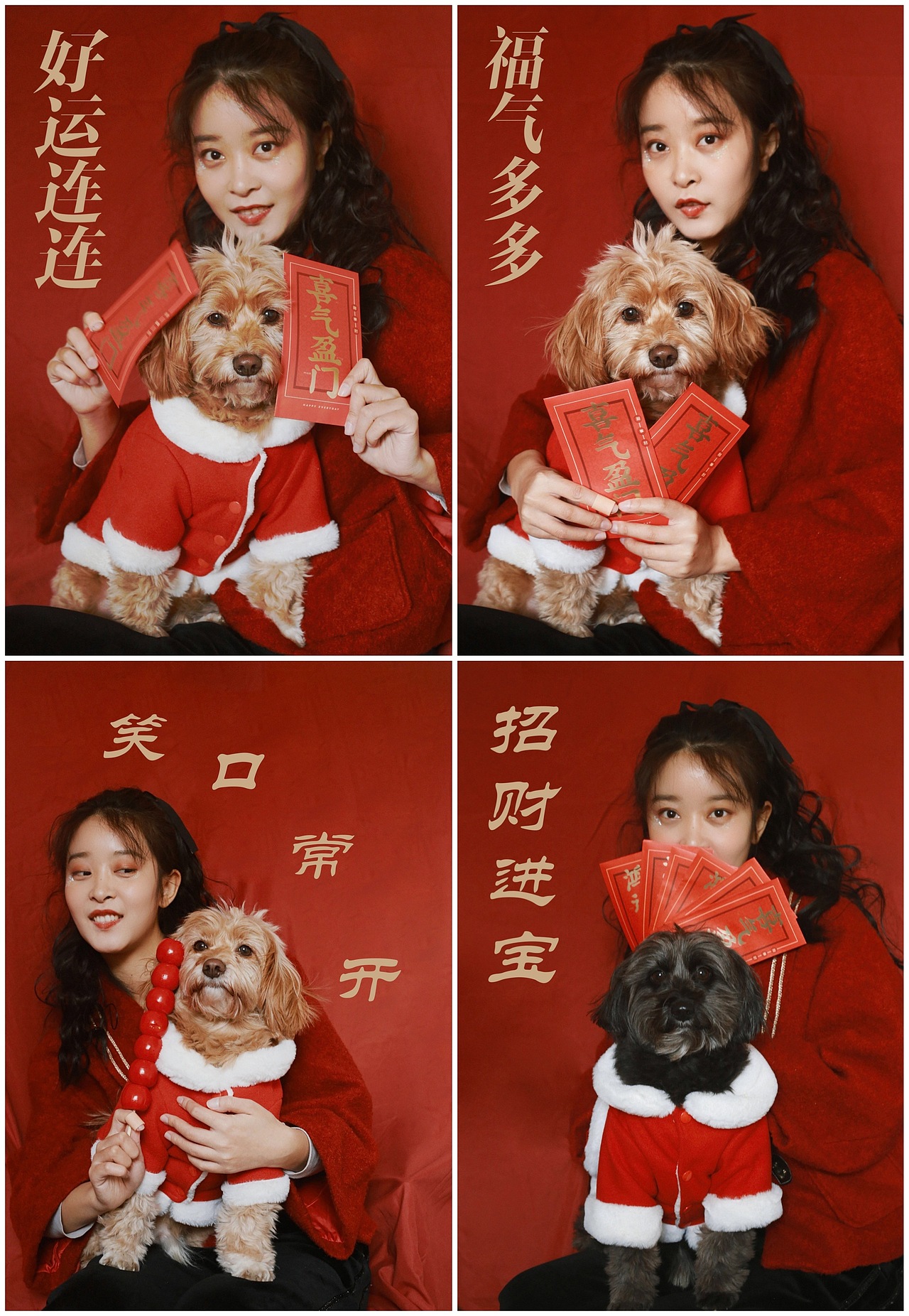 新年好运（图ZMjM5MTI1MzE2） - 宠物摄影 - 站酷设计师跳跃的米豆原创素材 - 站酷ZCOOL