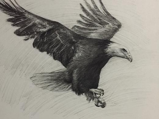 手绘创意(大学时期作品)