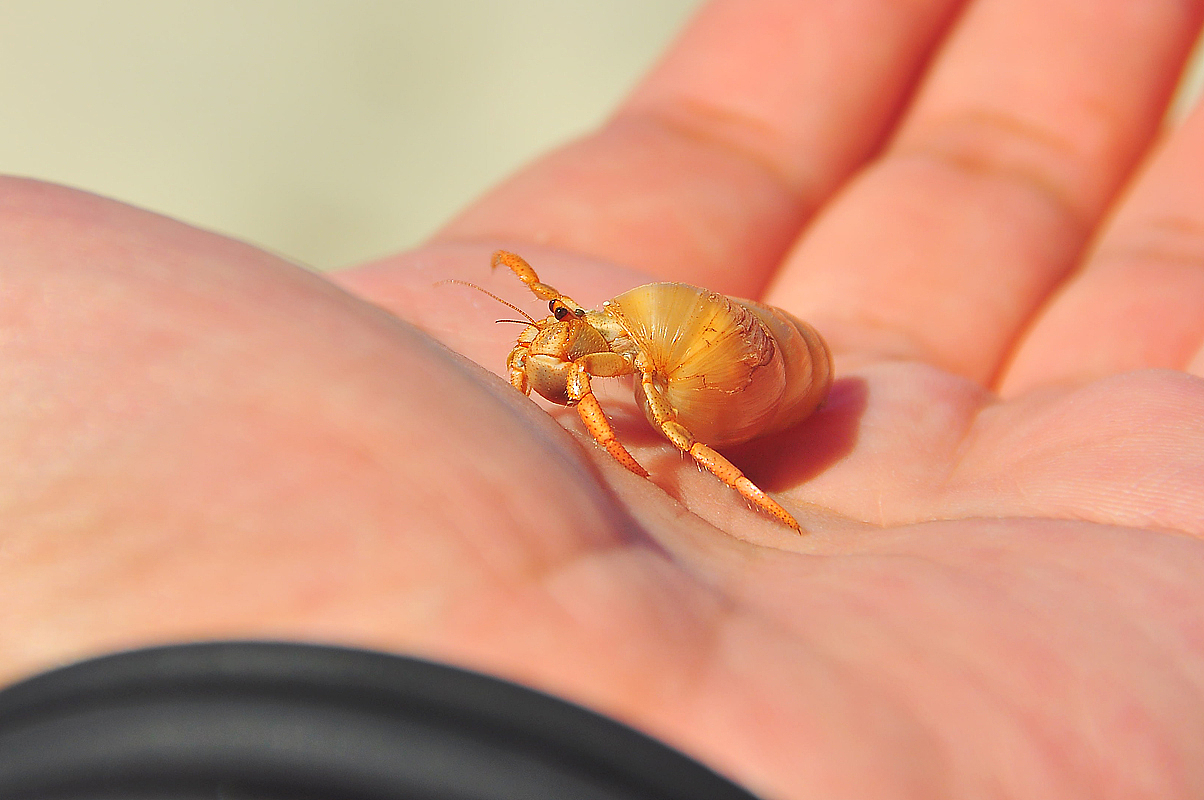 古巴—加勒比海上的热情岛国（图ZNTI0MzA2MA==） - 风光摄影 - 站酷设计师Edwiner原创素材 - 站酷ZCOOL