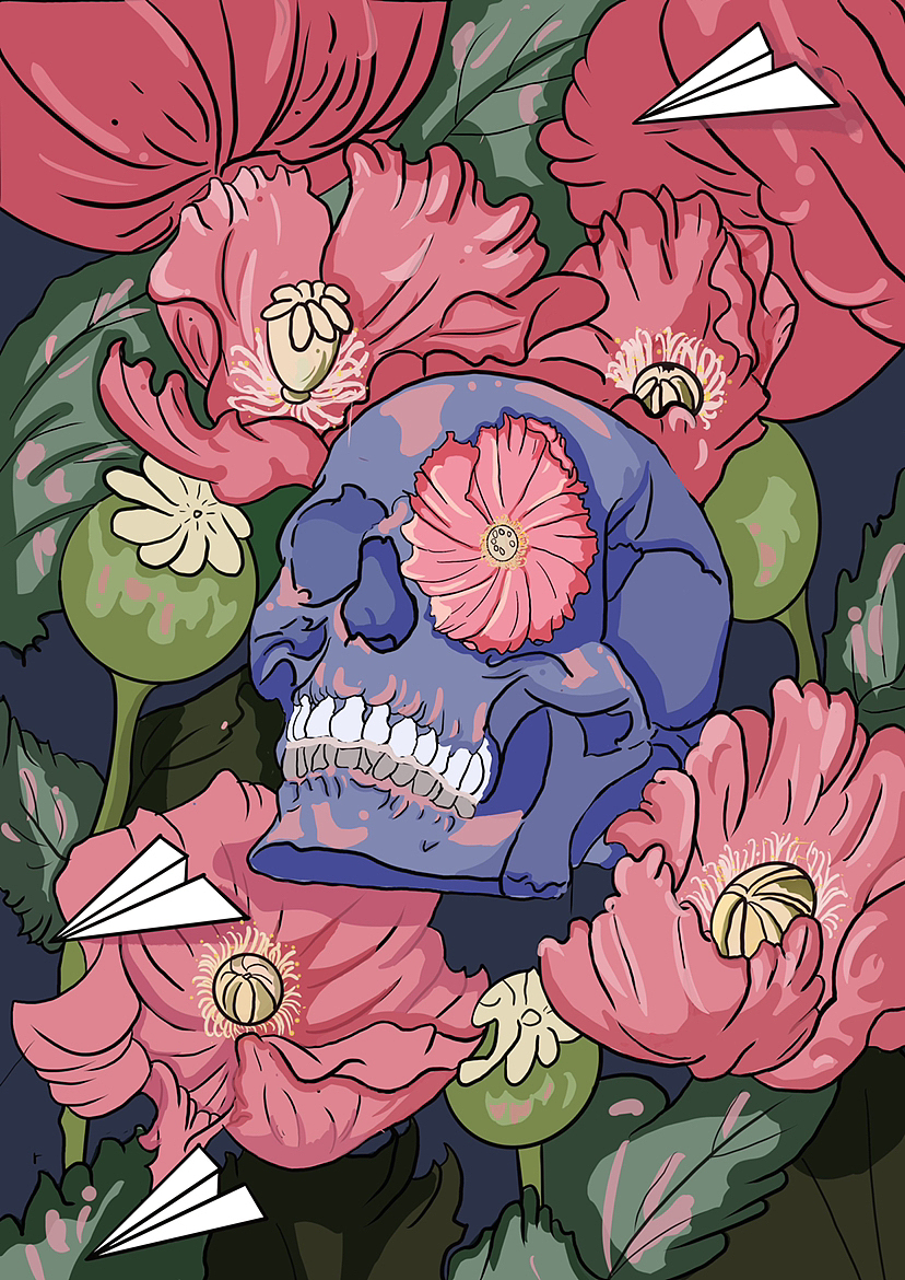 插画临摹 软件是procreate