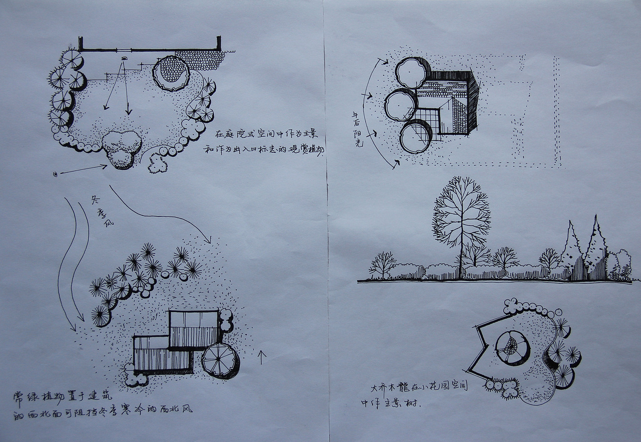 手绘4（图ZMTMyNTM2NDQ=） - 创作习作 - 站酷设计师丰兄G原创素材 - 站酷ZCOOL