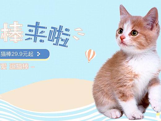 首页逗猫棒