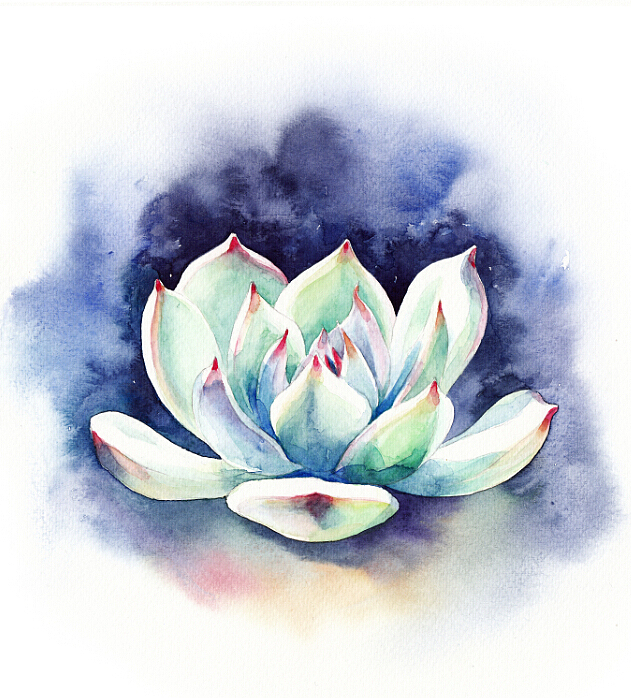 【一滴水手绘】一堆多肉（图ZMjQ2NjkyMTI=） - 商业插画 - 站酷设计师一滴水_小水原创素材 - 站酷ZCOOL