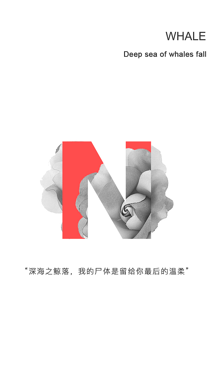 鲸鱼在海洋中死去,它的尸体会缓慢沉入海底。这个缓慢的过程有一个饱含诗意的名字——鲸落(Whale Fall)。这样一座鲸鱼的尸体可以供养一套以分解者为主的循环系统长达百年,这是它留给大海最后的温柔。
巨鲸落,万物生。