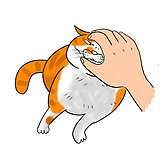 二黑哥哥的头像