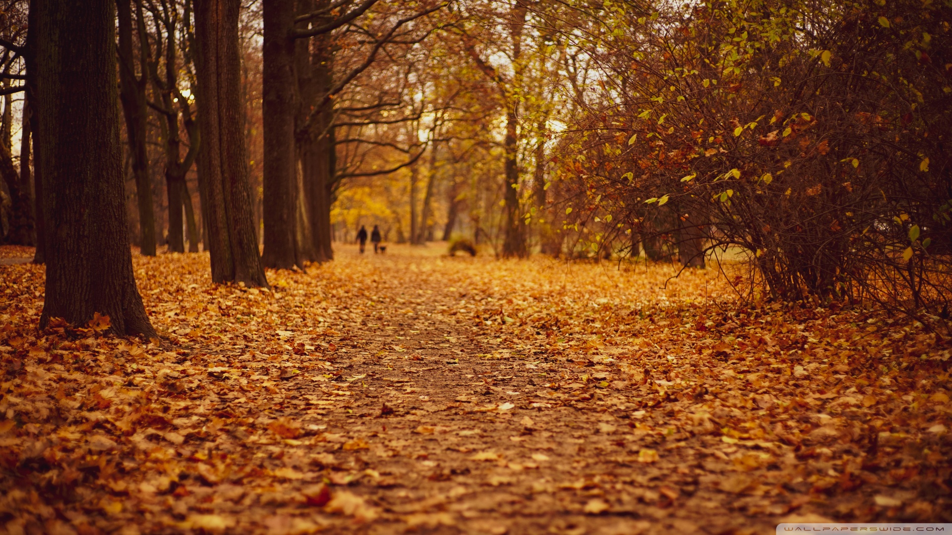 qzsk的个人主页（封面预览） - 主页封面设置 - 站酷设计师qzsk原创素材 - 站酷ZCOOL