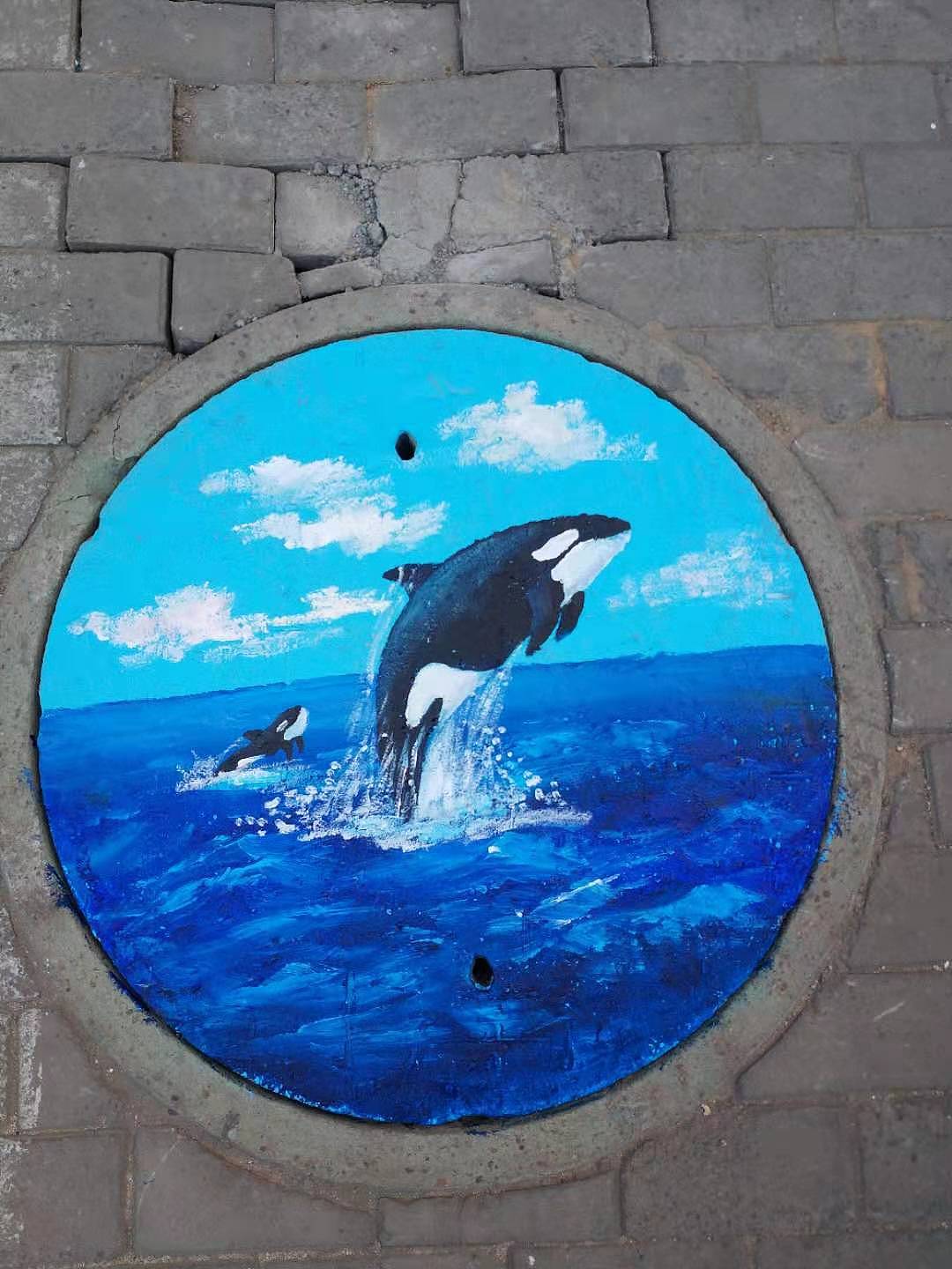 画过的小动物井盖。（图ZMTk5OTMzNTAw） - 新锐潮流插画 - 站酷设计师故城清扬原创素材 - 站酷ZCOOL