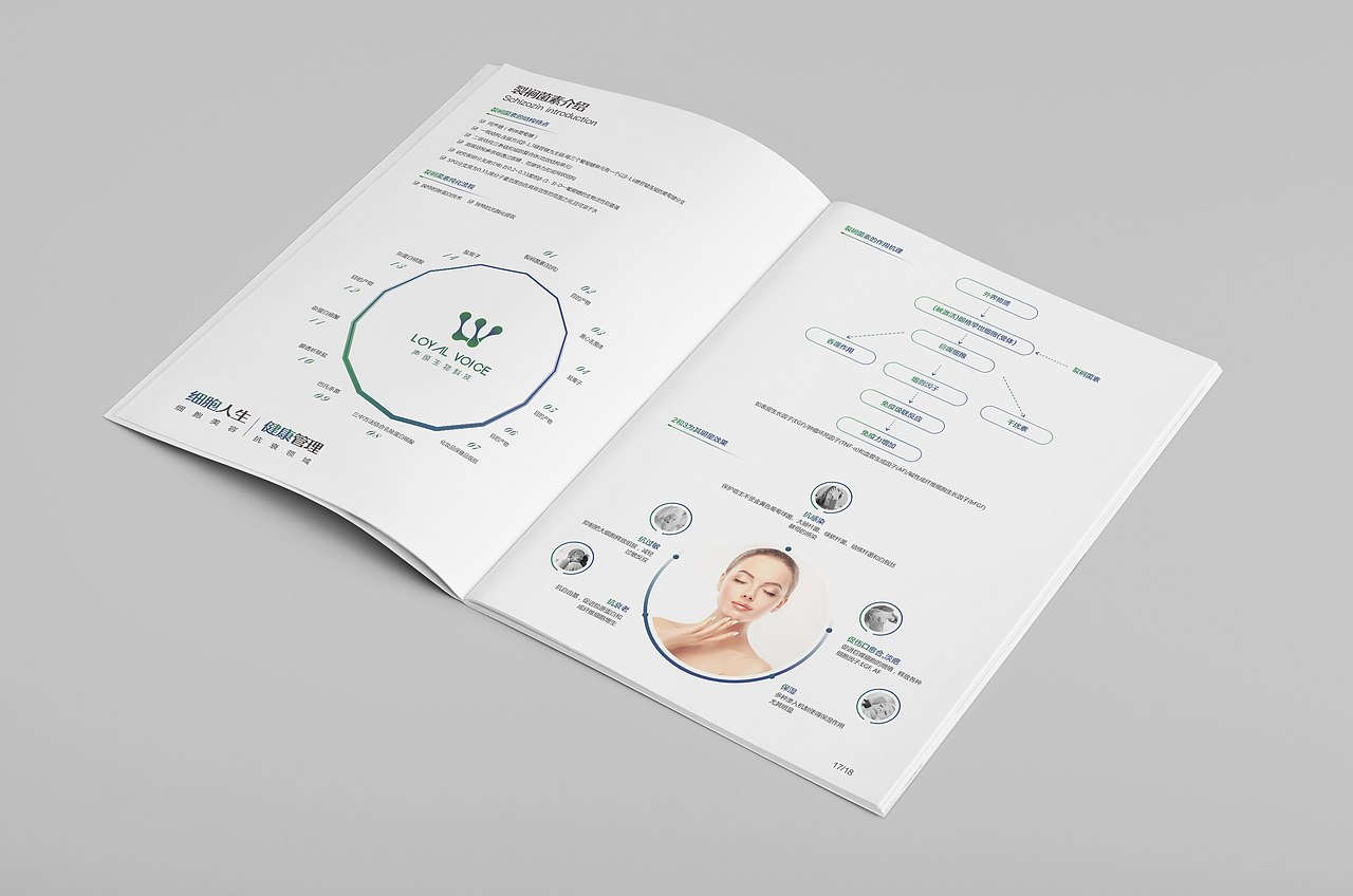 美容基因医疗画册