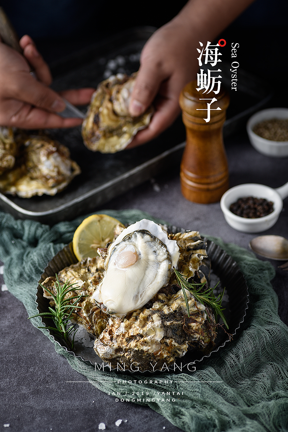 海蛎子/生蚝拍摄