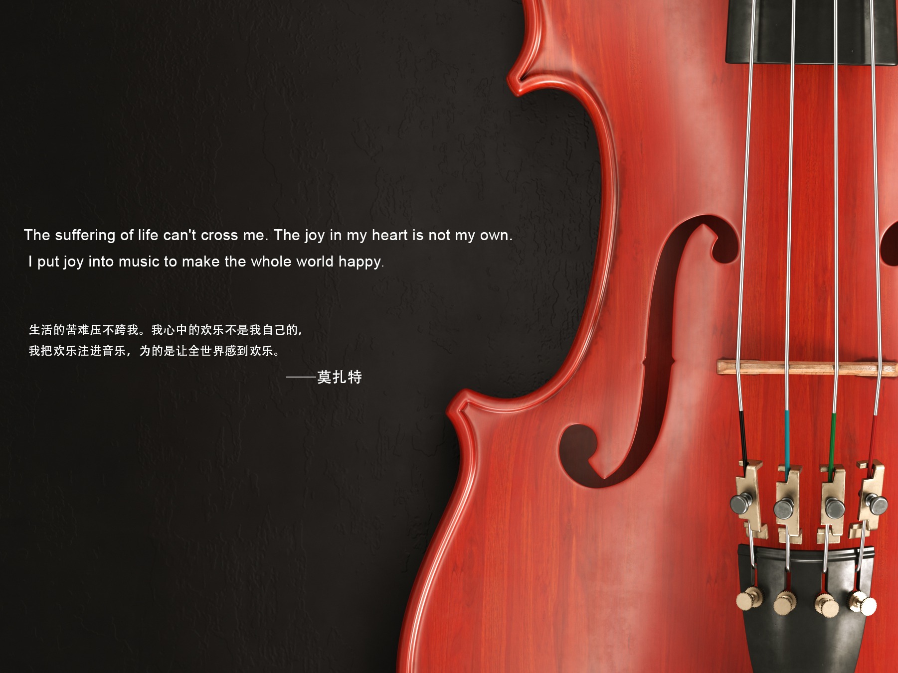 【年终小结——小提琴】