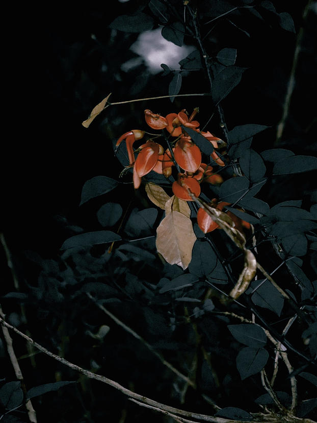 今日 秋分（图ZMzE2OTI5NjIw） - 风光摄影 - 站酷设计师马铃薯烤洋芋原创素材 - 站酷ZCOOL