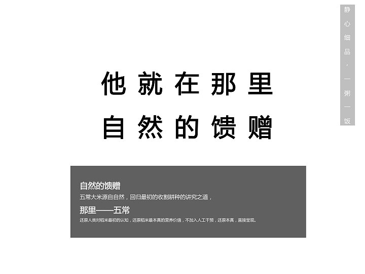 “一石米”的品牌打造－1、2、3方案（圖ZMTA4NzEwMTU2） - 品牌 - 站酷設(shè)計(jì)師飛飛非非原創(chuàng)素材 - 站酷ZCOOL