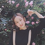 木昜禾的头像