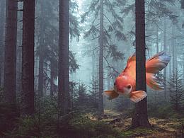 創(chuàng)意和成