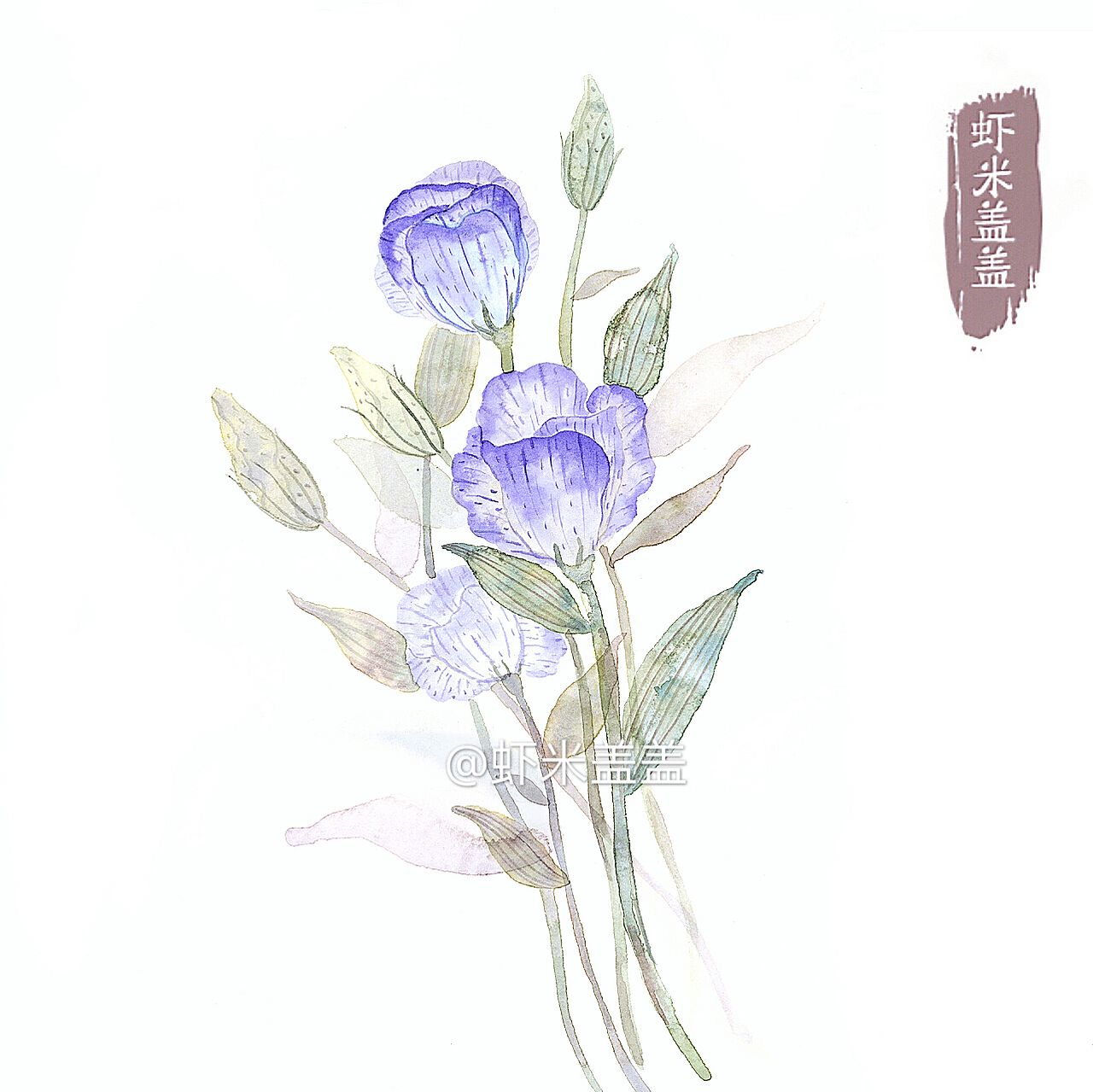 最近的一组水彩植物花卉