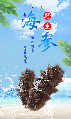 海参海报|平面|其他平面|玖星星 - 原创作品 - 站酷 (zcool)