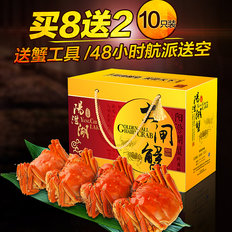 大闸蟹螃蟹河蟹阳澄湖大闸蟹直通车推广图主图800*800（图ZNjg3NjU5MjQ=） - 运营设计 - 站酷设计师苦涩绿橄榄原创素材 - 站酷ZCOOL