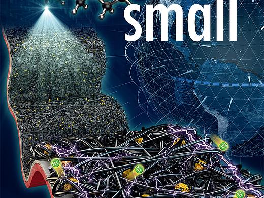 原创封面:Small ( 2018, Volume14, Issue43)