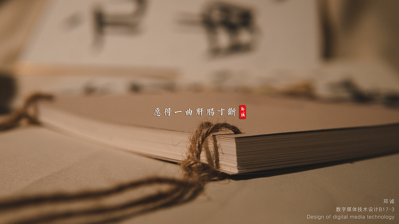 《愿得一曲肝肠寸断》书籍装帧设计摄影 —— 龙鳞装（图ZMTk0NzM0NDg4） - 书籍/画册 - 站酷设计师杰尼老大原创素材 - 站酷ZCOOL