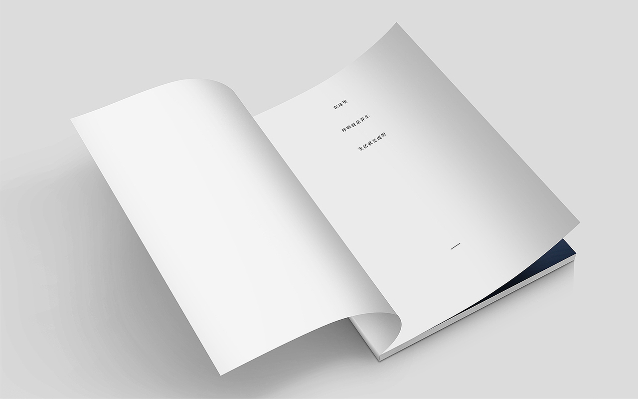 画册设计（图ZMjgzODU1OTcy） - 书籍/画册 - 站酷设计师无何散人原创素材 - 站酷ZCOOL