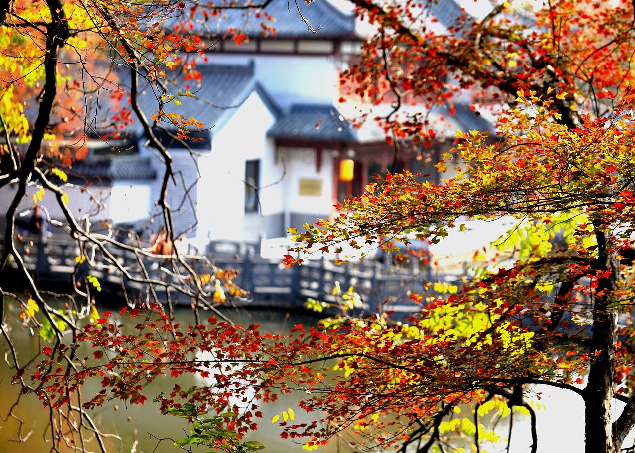 一叶知秋,醉美深秀湖