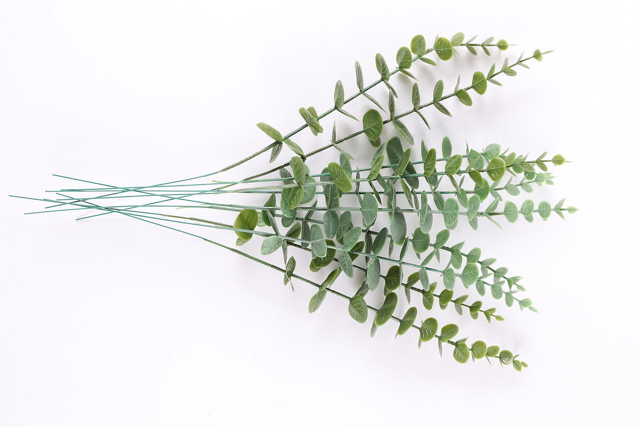 B03家居饰品\C11-仿真饰品\V06仿真尤加利叶X1